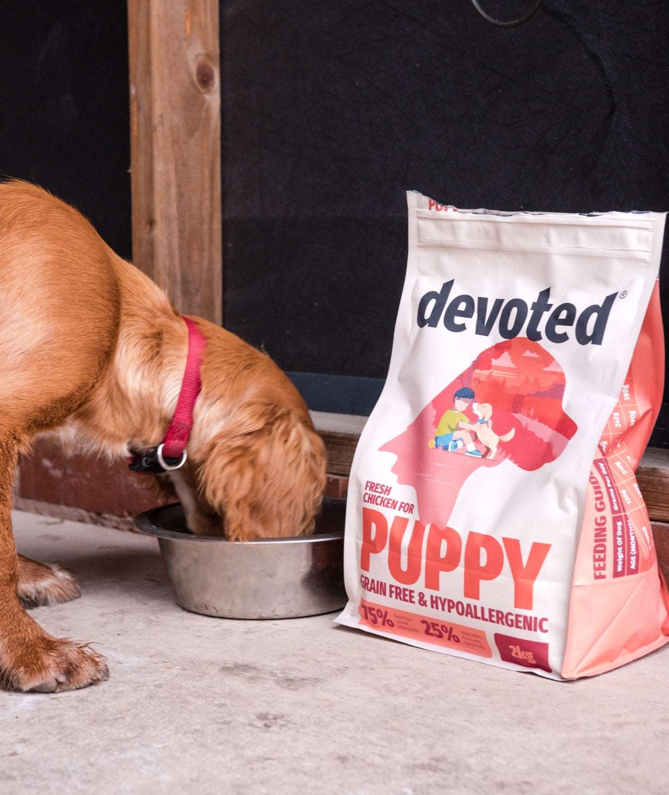 Fresh Chicken for Puppy