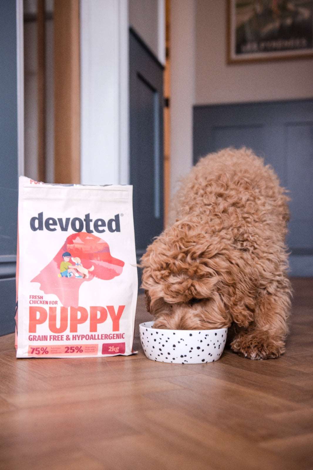 Fresh Chicken for Puppy